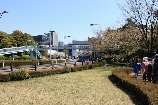 今度は「皇居東御苑」を目指します。