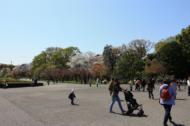 この中は比較的、空いていました。