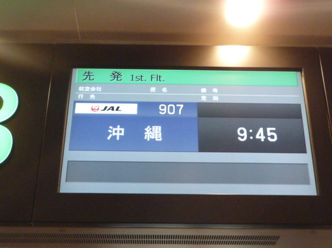 羽田９時４５分の飛行機です