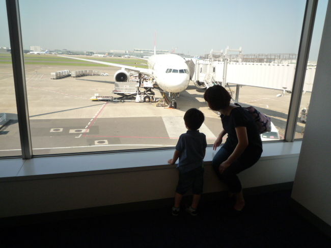 この飛行機に乗ります