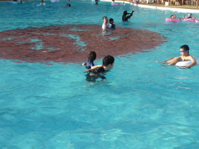 水が暖かく気持ちよかったです。