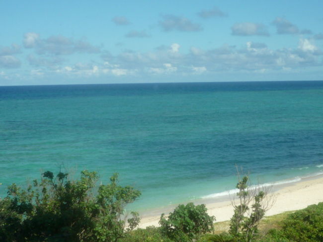 案内された席からは海が綺麗に見えてうれしかったです！