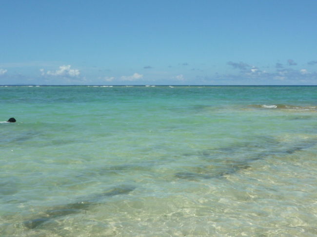 透明で綺麗でしたー。