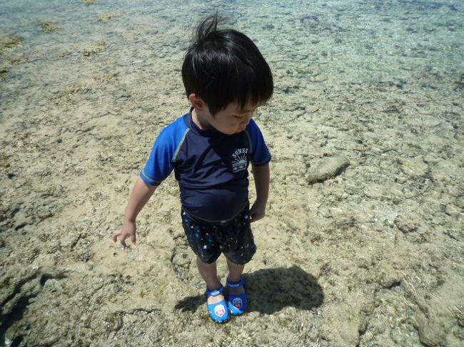 息子が立てるくらい浅い。<br />カニやタコなど見ることができ大満足！