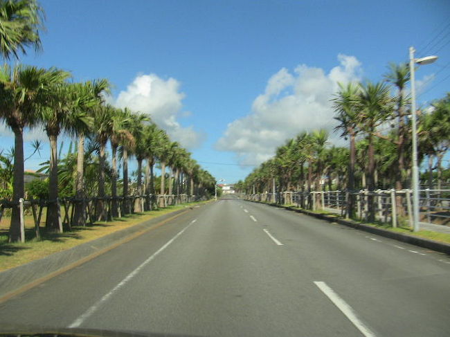 夕方近くになってちょっと観光でも。