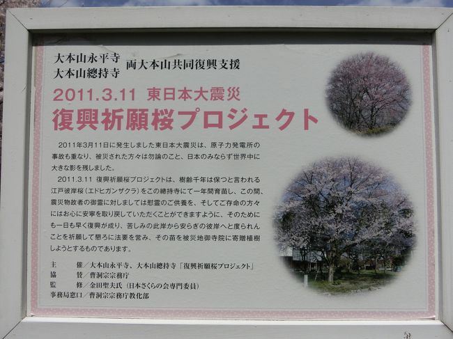 被災地に1年育てた桜の苗を送っているらしい。