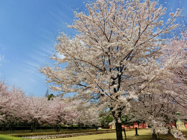 ほんとキレイ。。。