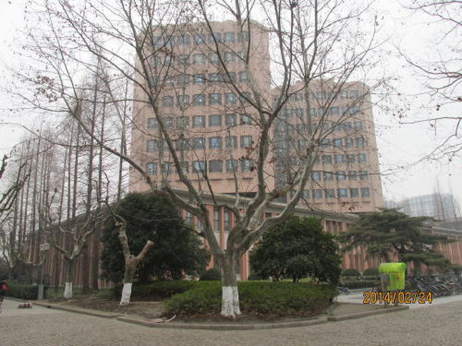 真中の図書館。<br />