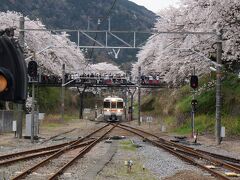 松田駅から２駅で山北駅に到着〜♪　桜がいっぱいの中、上り電車が来ています。