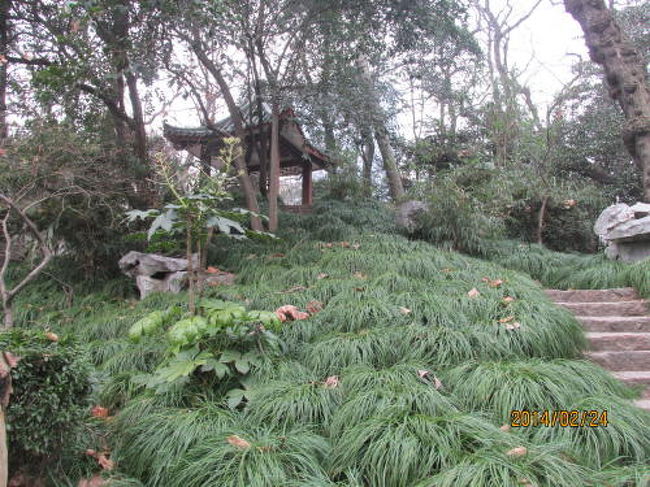 同済大学校内に庭園があります。三好塢。<br /><br />