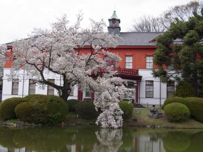 14年 満開の桜を見に行こう 桜の穴場的名所 小石川植物園 小川軒のハンバーグランチ 大塚 巣鴨 駒込 東京 の旅行記 ブログ By Milkさん フォートラベル