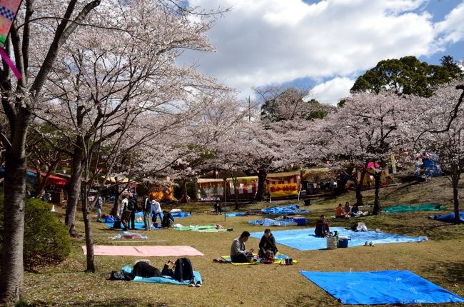 花見客で賑わう週末の八幡山 宇都宮 栃木県 の旅行記 ブログ By 玄白さん フォートラベル 花見客で賑わう週末の八幡山 宇都宮 栃木県 の旅行記 ブログ By 玄白さん フォートラベル