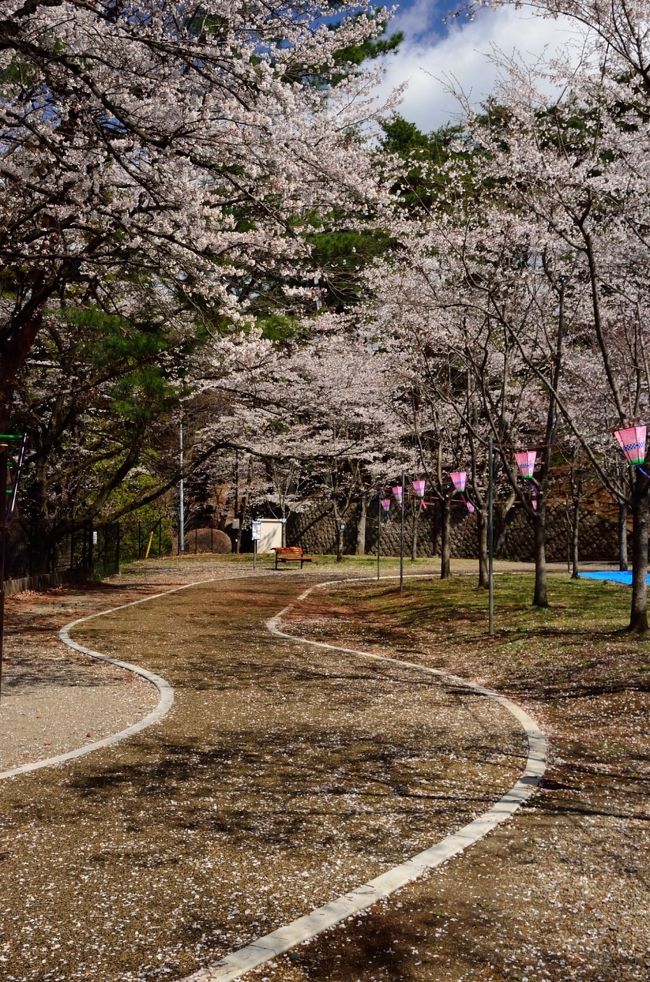 花見客で賑わう週末の八幡山 宇都宮 栃木県 の旅行記 ブログ By 玄白さん フォートラベル