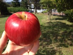 青森に来たらりんごを食べると決めていました。道の駅おいらせに販売に来ていた藤田りんご園さんの「サンつがる」
この日を境に青森のりんごが大好物になりました。
