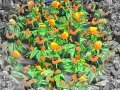 □■２０１４年リオのカーニバル■□