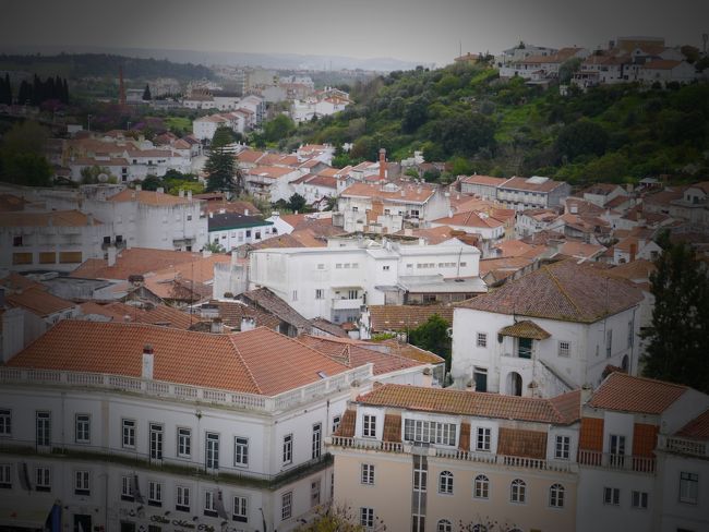 城壁からの町並み。