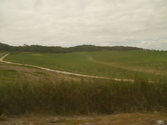 かなりの幸福感で心が温まる旅になった。。。