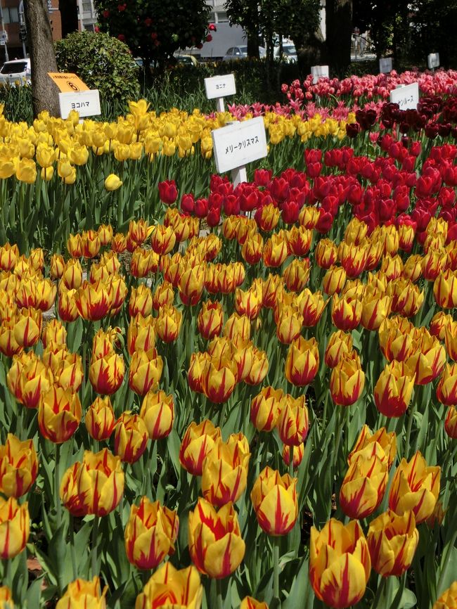 いろんな種類があるもんだ。