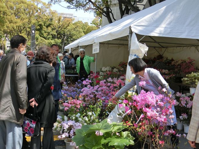 横浜球場の周辺にはテントが立ち並び、園芸屋さんがお店を開いていた。<br /><br />他にも食べ物屋さんの屋台やお弁当屋さんがいくつも出店していたので、お昼にも困らなかった。