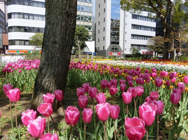 眺めているだけで幸せ♪