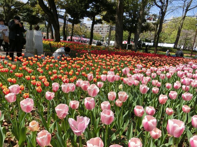 写真どれだけ撮ったか分からないくらい、たくさん撮った。<br /><br />満足満足。