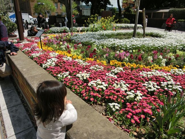 他には、チューリップではないお花もキレイに咲いてたコーナーもあり！<br /><br />おチビちゃんは摘もうと手を伸ばす・・
