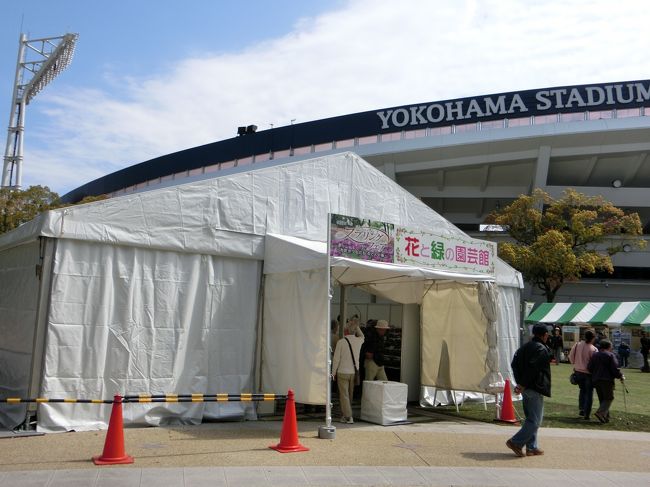 テントの会場もあったけど、このお天気でのぞく気がしなくてスルー。。<br /><br />