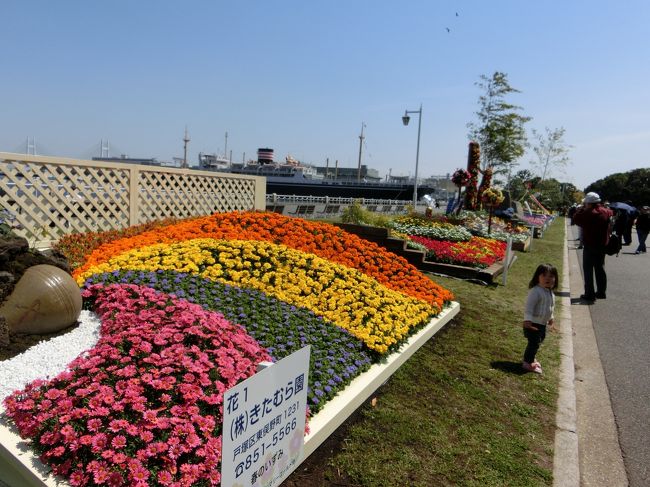 花壇展って何？って感じだったけど、<br />かなり力作揃い！