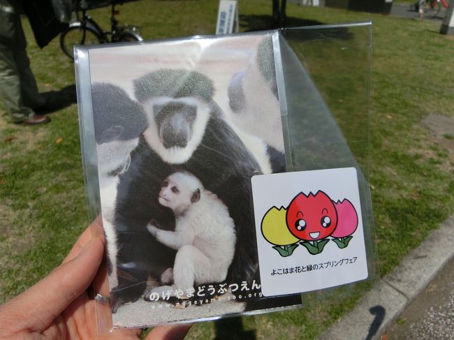 ５等だった・・。微妙。<br /><br />チューリップマグネット＆横浜市立動物園のポストカード５枚セット<br /><br />参加賞の「花の種」の方が嬉しかったような・・汗。<br />（子供は動物のカード喜んだケド）