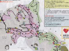 雨でビッショリ濡れた案内図のコピーです。

森林総合研究所多摩森林科学園の中には、「サクラ保存林」があり、8ヘクタールに日本全国のサクラが、250種、1,500本植えられています。

他にも「森の科学館」や７ヘクタールの「樹木園」などもあります。