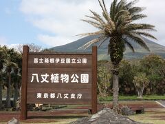 次に向かったのは、八丈植物公園です。