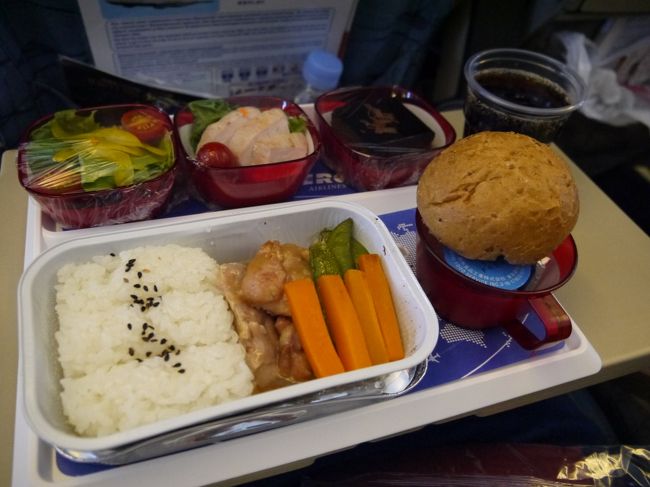 プールコヴォ空港到着２時間前ぐらいに夕食