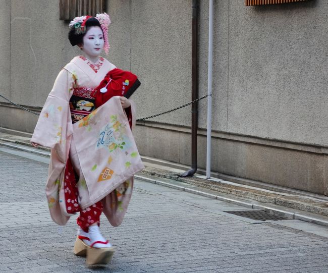 ◇京都 花街巡り~桜と艶を競う、芸舞妓の春~【2】1日目後半 ◇京都 花街巡り~桜と艶を競う、芸舞妓の春~【2】1日目後半