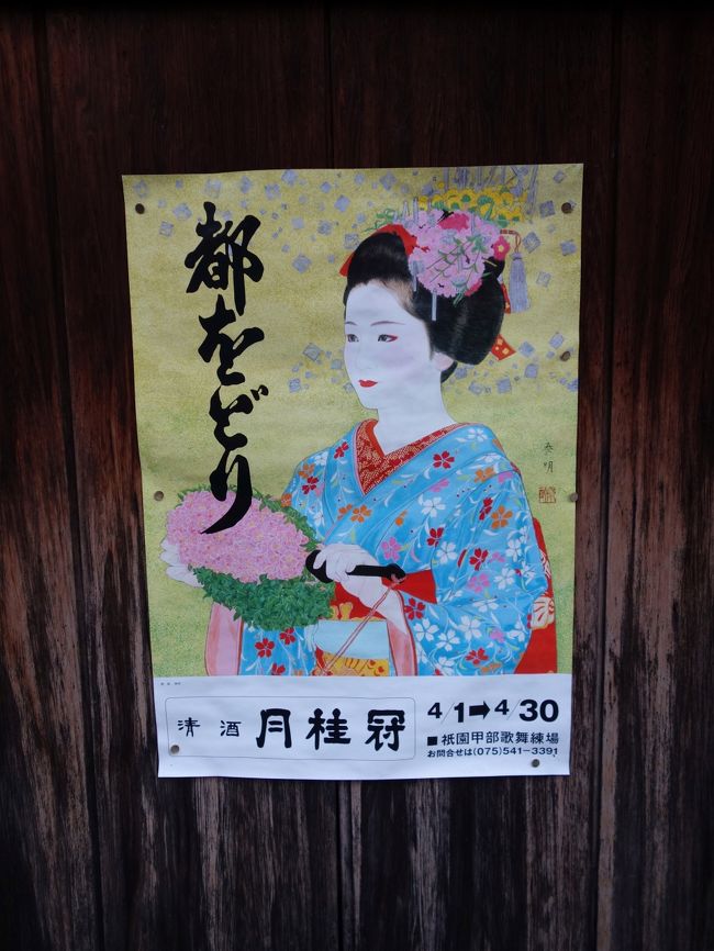 ◇京都 花街巡り~桜と艶を競う、芸舞妓の春~【2】1日目後半 ◇京都 花街巡り~桜と艶を競う、芸舞妓の春~【2】1日目後半