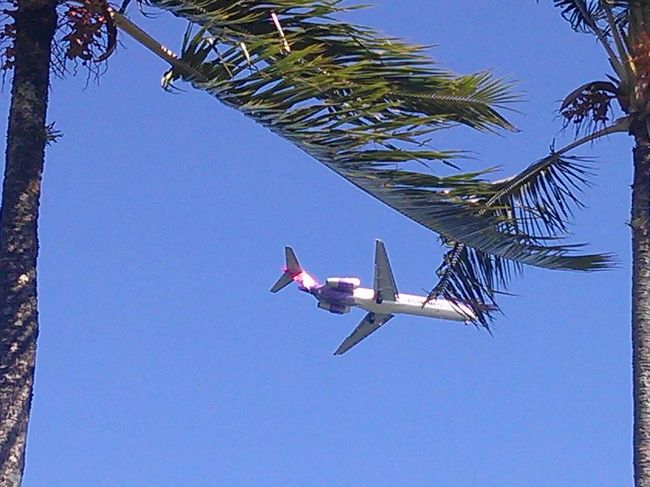 KOAへランディングのHawaiian Airlinesもプールの真上に