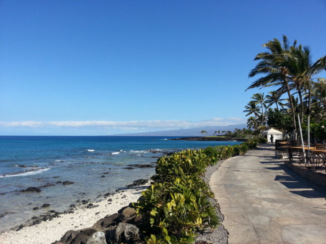 で、こんなところも歩いてみる。<br />写真が無いのが残念ですが、鯨も沢山泳いでましたよ。しかも、肉眼で見えるくらい近くに！