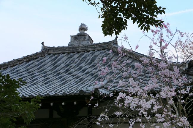 「元興寺塔跡」　本堂<br /><br />「元興寺（がんごうじ）」は、奈良市にある、南都七大寺の1つに数えられる寺院。蘇我馬子が飛鳥に建立した、日本最古の本格的仏教寺院である法興寺がその前身である。<br />奈良時代には近隣の東大寺、興福寺と並ぶ大寺院であったが、中世以降次第に衰退して、現在は元興寺と名乗る寺院は次の2つに分かれている。<br />１）奈良市中院町所在の元興寺。西大寺の末寺で、宗派は真言律宗<br />２）奈良市芝新屋町所在の元興寺。東大寺の末寺で、宗派は華厳宗<br />（Wikipediaより）<br /><br />元は同じお寺の一部でしたが、現在は宗派の違う「元興寺」になっています。<br />（「古都奈良の文化財」の一部として世界遺産登録されているのは１）の「元興寺」）