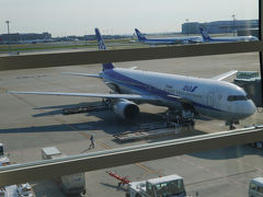 オンラインチェックイン済みであったため、羽田空港に1時間前に着くように向かった。やっぱり羽田は便利だ。