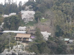 竹生島です