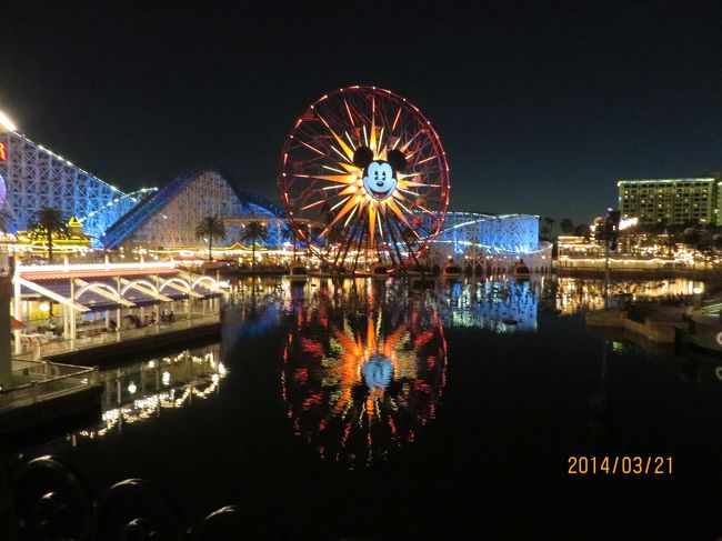 夜も綺麗です。