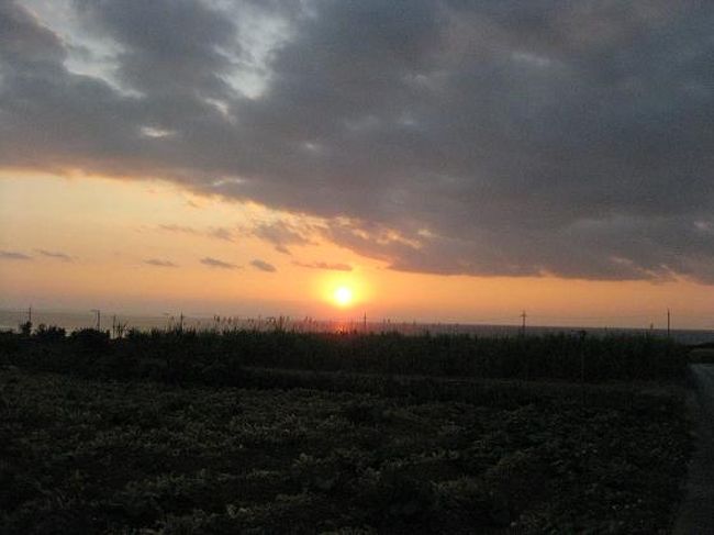 この旅行で唯一見れた夕日