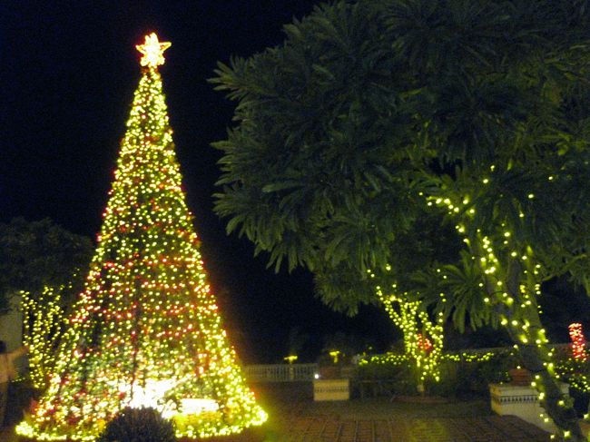 ホテルの中庭で少々お散歩<br />クリスマスのイルミネーションがとても綺麗でした
