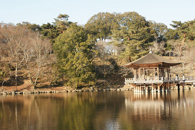 ●浮見堂＠奈良公園<br /><br />結婚式の写真撮りをしているようです。<br />雰囲気が良いので、この場所をチョイスするのですね。