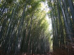 嵐山で一番行きたかった所「竹林の道」
伸びやかに成長した竹林が空を覆い別世界に。
ここの空気は浄化されているのでしょうか＾＾
清々しくて気持ちのいい道が続きます。

たくさんの人出　外国の方も多かったです。