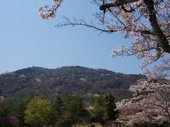 竹林の道を抜けると　遠くの山々も望めました。
山桜が満開の様ですね＾＾