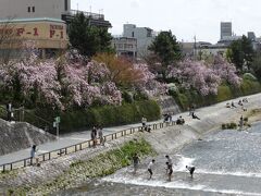 四条大橋から鴨川

今日は凄く暖かかったので、早速水遊びする若者達☆