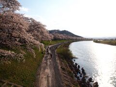 船岡の「さくら歩道橋」から、今度は上流方向、大河原まで歩きます。

こちらの道程は約３.５ｋｍ。先ほど歩いた「さくら回廊」が約３.５ｋｍあるということなので、合計約７ｋｍも歩くことになります。

既に・・・お疲れ気味のわが家ふたり。

でも大河原まで行けば、まつり会場に食べ物があるよ・・と連れ合いを励まし、私は、大河原まで行けば、桜のライトアップがある・・・と自ら叱咤して、歩き始めます。
