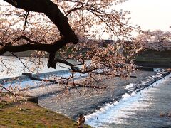 韮神堰。

水流の心地よい音が疲れを癒してくれます。