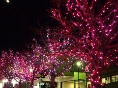 大河原駅までは５分もかかりません。駅前には、桜色のライトアップ。

今週末は、２日間昼も夜もめいっぱい桜を堪能しました！！

２人とも・・・翌日、足が痛かったり、足が張ったりして、日ごろの運動不足を痛感しました。

