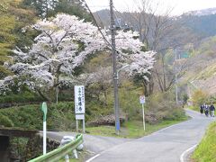 小仏宝珠寺
満開の桜が見事です。